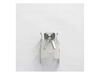 Clip – Part Number: WP9760411