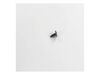 Screw – Part Number: WP98008545