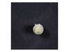 Discharge Housing Nut – Part Number: WP99001426