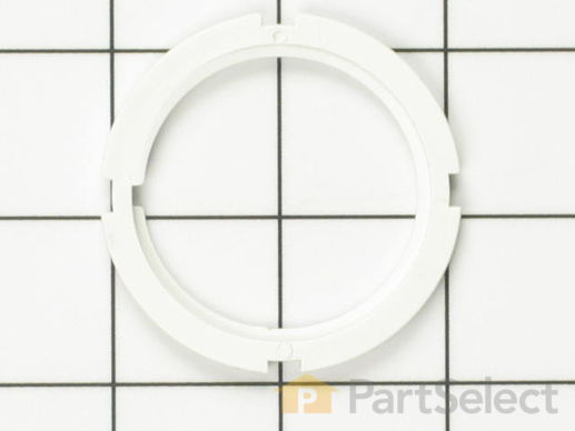 11747636-1-M-Whirlpool-WP99002005-Rinse Aid Nut