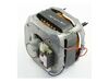 Drive Motor – Part Number: WPW10006416