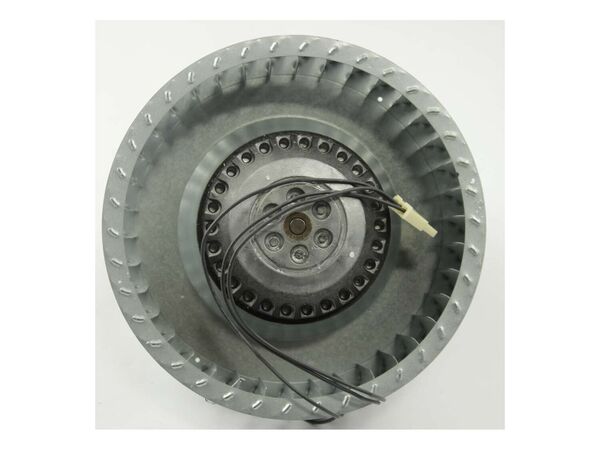 11748402-1-M-Whirlpool-WPW10114253-Motor, Fan Assembly