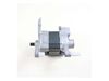 Drive Motor – Part Number: WPW10140579