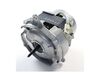 11750859-3-S-Whirlpool-WPW10239401-Circulation Pump Motor