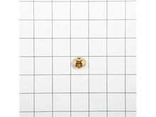 Refrigerator Screw – Part Number: WPW10288153