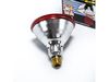 11752226-2-S-Whirlpool-WPW10294005-Light Bulb