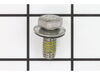 Screw with Washer – Part Number: WPW10309247