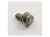 11752524-2-S-Whirlpool-WPW10309247-Screw with Washer