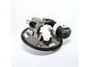 11754490-2-S-Whirlpool-WPW10418332-Pump & Motor