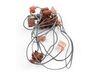 11756439-2-S-Whirlpool-WPW10569187-Wiring Harness