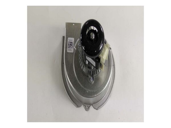 11756465-1-M-Whirlpool-WPW10571492-Holder, Surface Burner Orifice