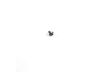 Range Screw – Part Number: WPY706189