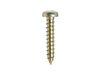11762175-2-S-GE-WB01X25466-WOOD SCREW
