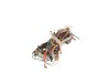 11762400-2-S-GE-WB18X24041-Wire Harness Main