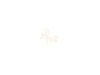 11766088-3-S-Frigidaire-5304505221-PROTECTOR