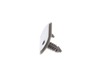 11767778-3-S-GE-WR02X25409- PLUG BUTTON Stainless Steel