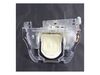 DOOR-ICE – Part Number: W10889430