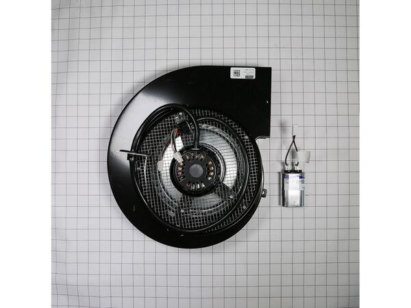 11770168-1-M-Whirlpool-W10921431-Motor Blower