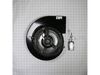 Motor Blower – Part Number: W10921431