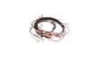 11770421-3-S-Frigidaire-5304504853-Main Wiring Harness