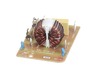 11770661-3-S-Frigidaire-5304507217-FILTER