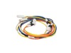 Range Harness And Electrode Assembly – Part Number: WB18X26084