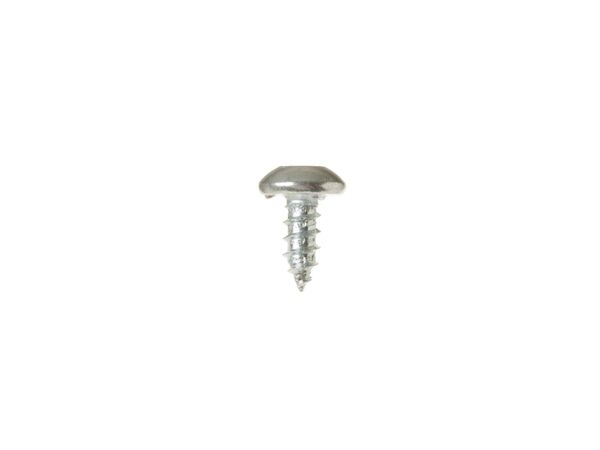 11773452-1-M-GE-WB01X21663-TAMPER RESISTANCE SCREW