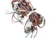 11774534-2-S-GE-WE15X23863-HARNESS