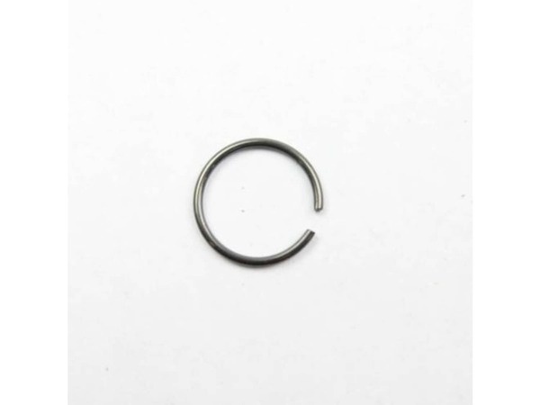 11789498-1-M-Panasonic-WEY7300K1167-Ring