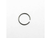 Ring – Part Number: WEY7300K1167