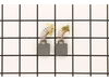 11794570-3-S-Bosch-1619P04451-Carbon-Brush Set