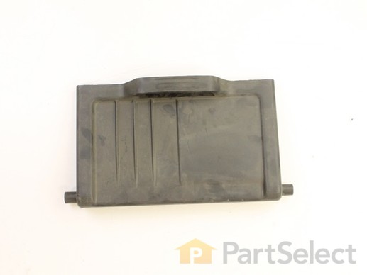 11810975-1-M-Poulan-401813X428-Rear Door Assembly