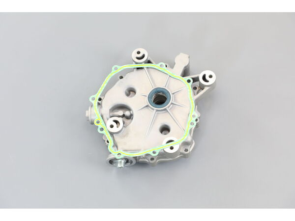 11813476-1-M-MTD-951-12318A-Crankcase Cover Assembly