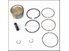 Kit, Piston W/Ring Set .08 – Part Number: 1287411-S