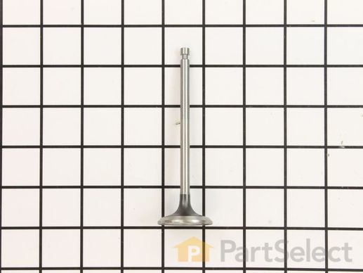 11814546-1-M-Kohler-2001602-S-Valve: Exhaust