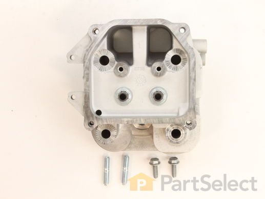 11815168-1-M-Kohler-24318171-S-Kit, Cylinder Head #1