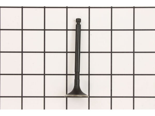11816494-1-M-Kohler-6301601-S-Valve: Exhaust