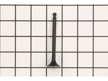 Valve: Exhaust – Part Number: 6301601-S