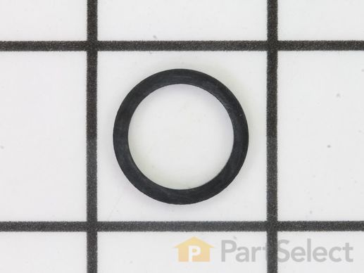 11816503-1-M-Kohler-6304109-S-Gasket
