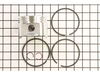 Piston Assembly Standard Size – Part Number: 498584