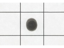 Seal – Part Number: 514235301