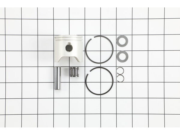 11826569-1-M-Echo-P021043991-Piston Kit