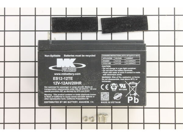 11828141-1-M-Briggs and Stratton-316543GS-Battery