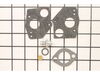Kit-carb Overhaul – Part Number: 555130