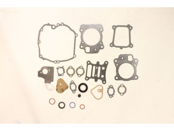 11829319-1-M-Briggs and Stratton-592173-Gasket Set-engine