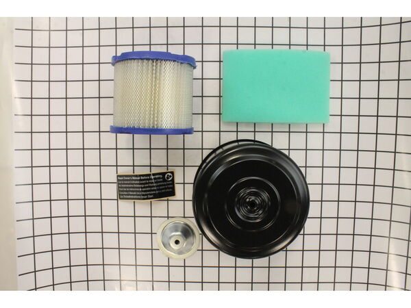 11829339-1-M-Briggs and Stratton-593702-Cleaner-air