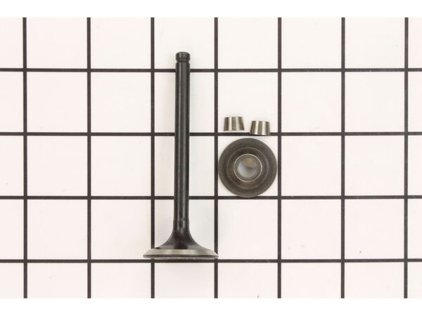 11829858-1-M-Briggs and Stratton-716257-Valve-Exhaust