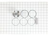 Piston Assembly – Part Number: 825793