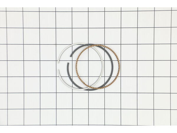 11831885-1-M-Murray-592958-Ring Set -020