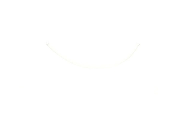 11855528-1-M-Ryobi-080009002034-Hose